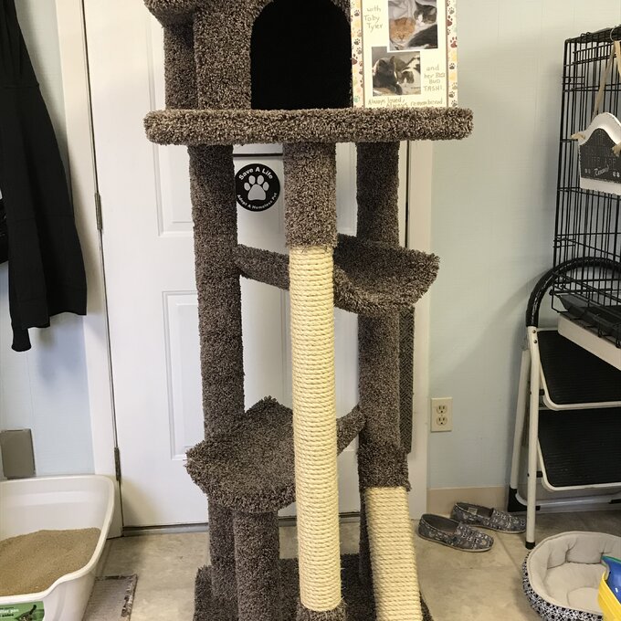 66" Solid Wood Cat Tree