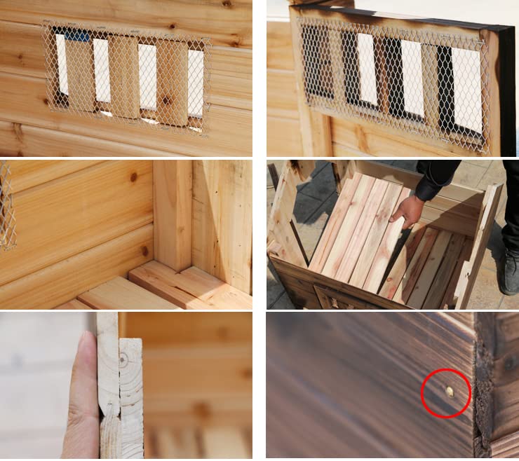 Dog Kennels for Outside