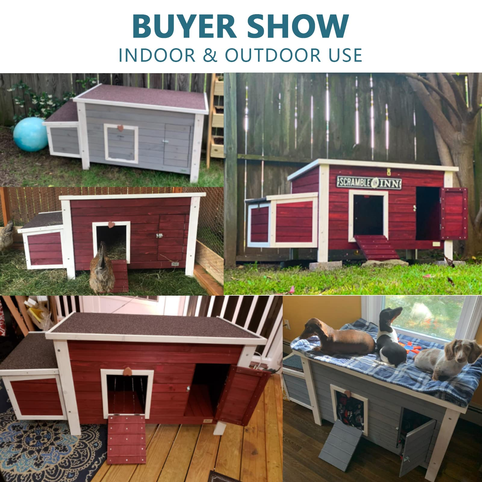 Weatherproof Chicken Coop with Nesting Box