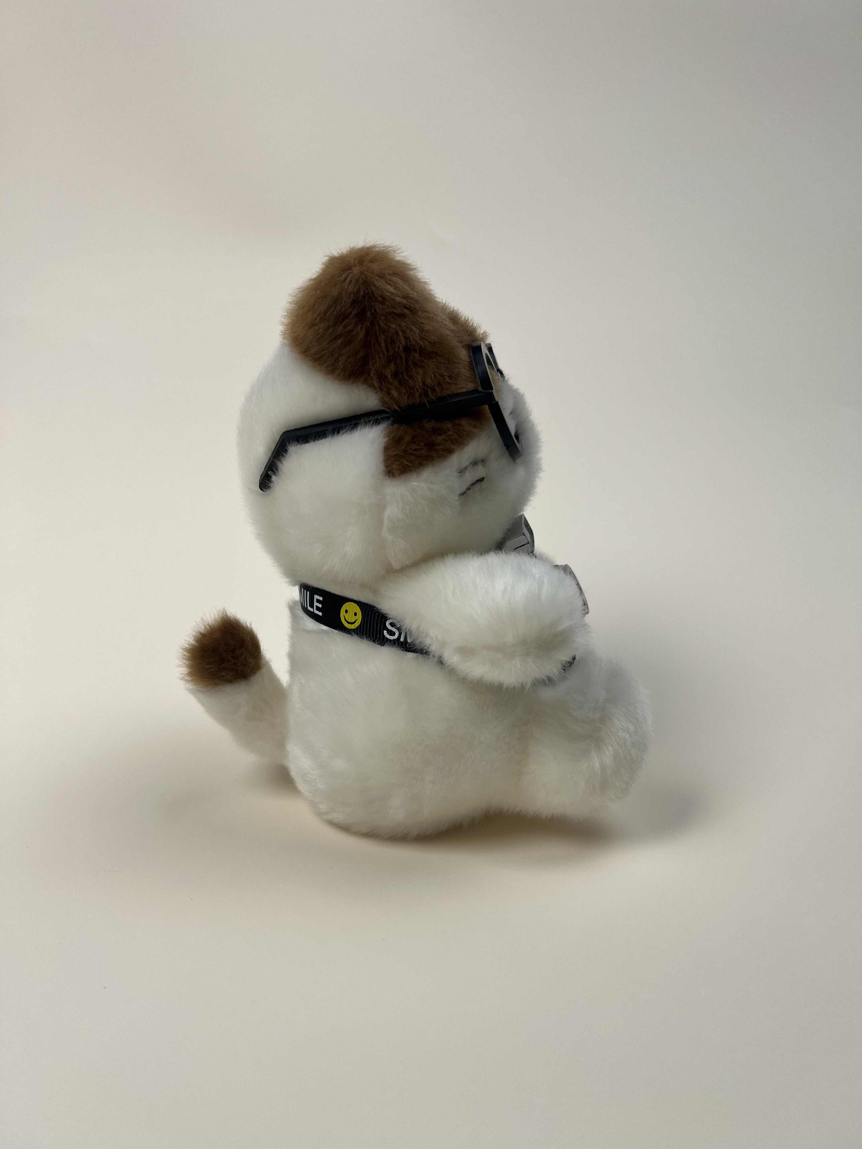 Three-Color Photographer Kitten Plush Toy