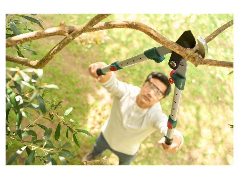 PARKSIDE® Coupe-branches télescopique