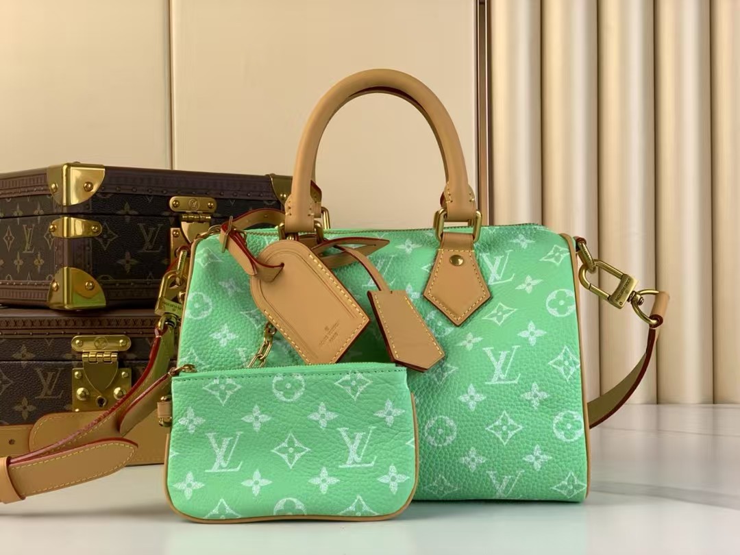 Top version speedy p9 bandouliere25 monogram handbag