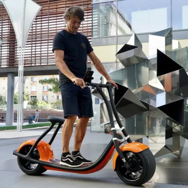 Adult electric scooter