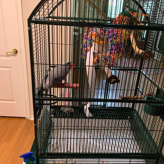 Cleveland 63'' Iron Dome Top Floor Bird Cage with Wheels