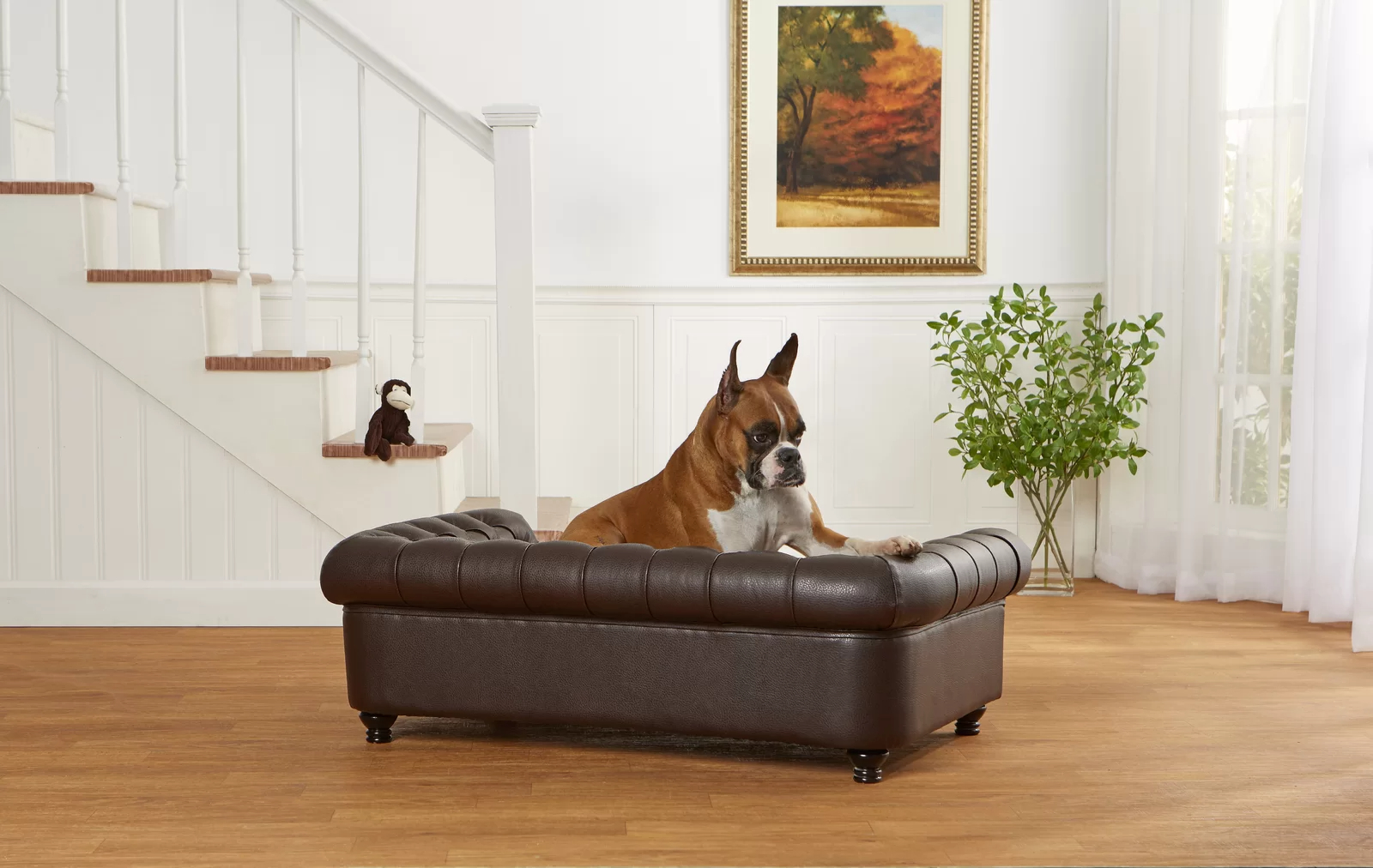 Larock Dog Sofa