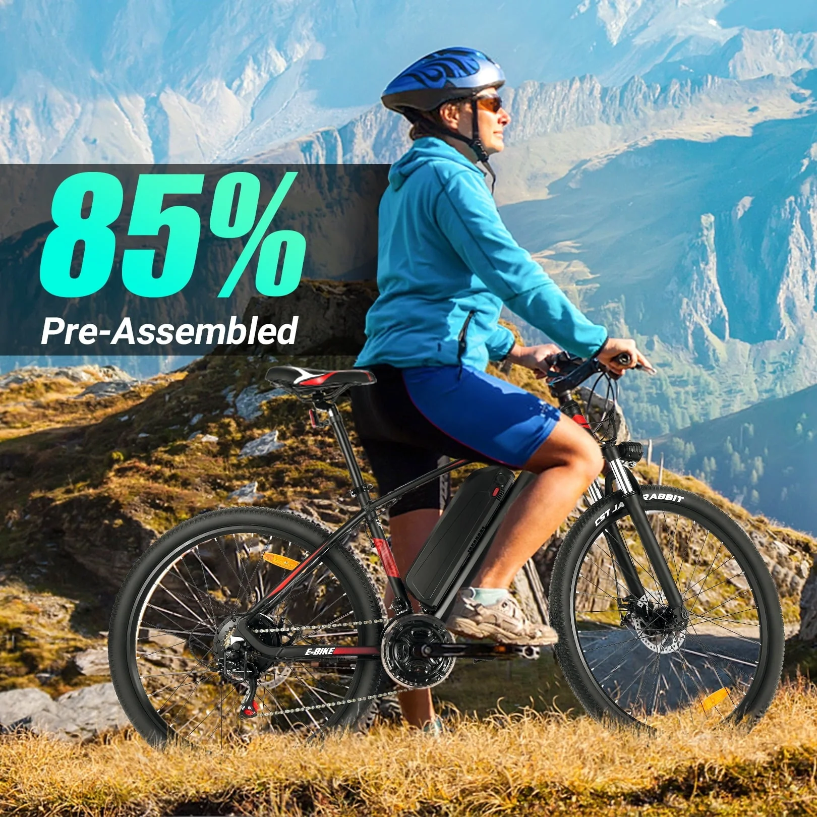 Gocio 27.5in Electric Mountain Bike, 500W, 48V