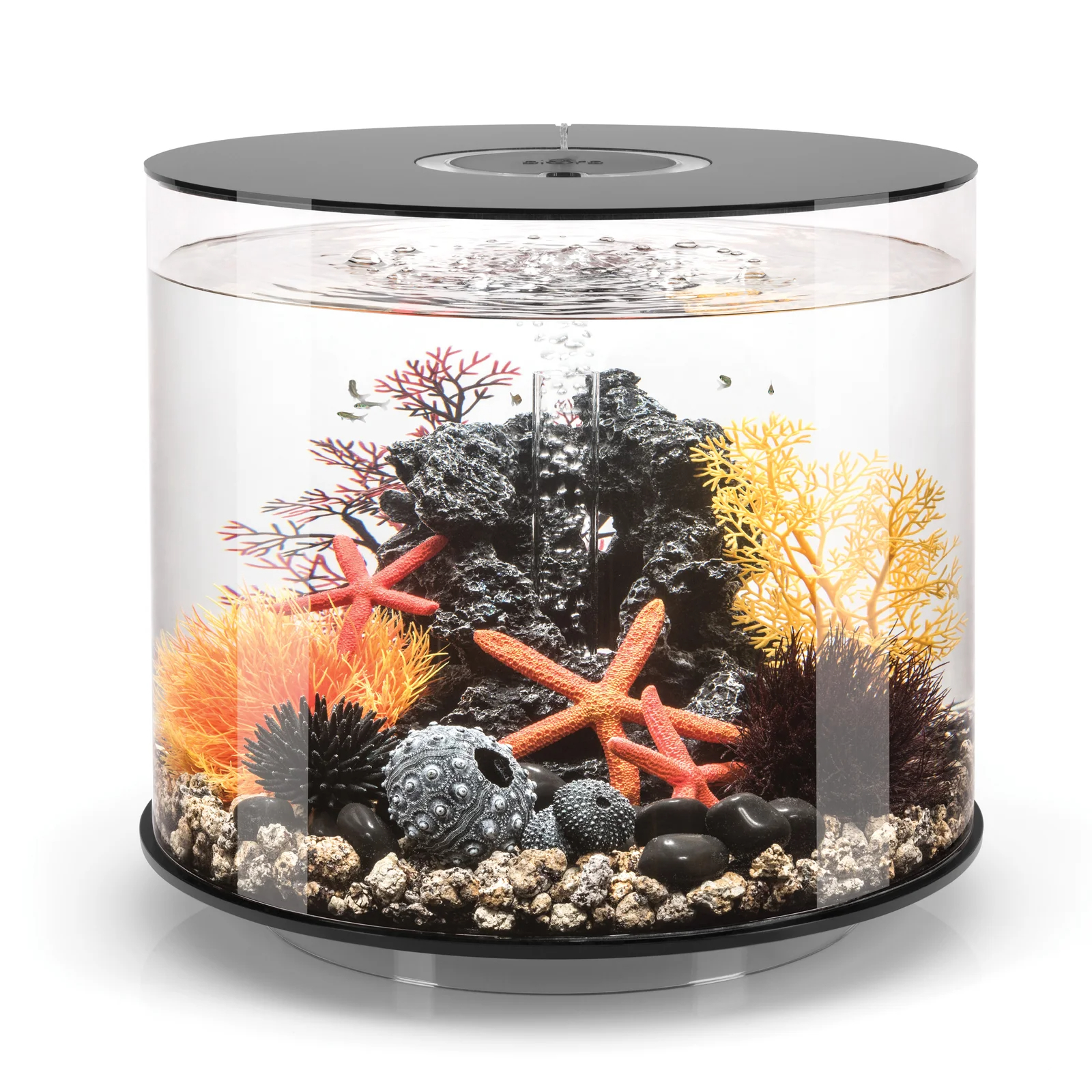Tube 35 9.2 Gallon Column Aquarium Tank with Standard Light