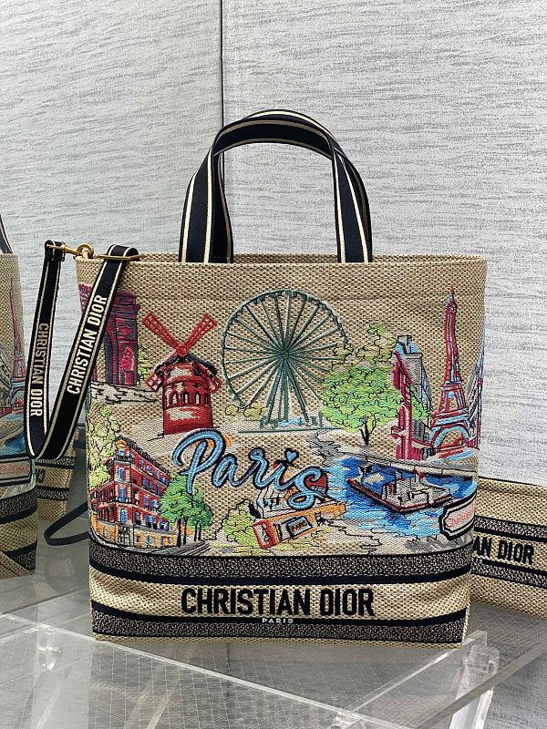 Dior Book Tote Large Paris