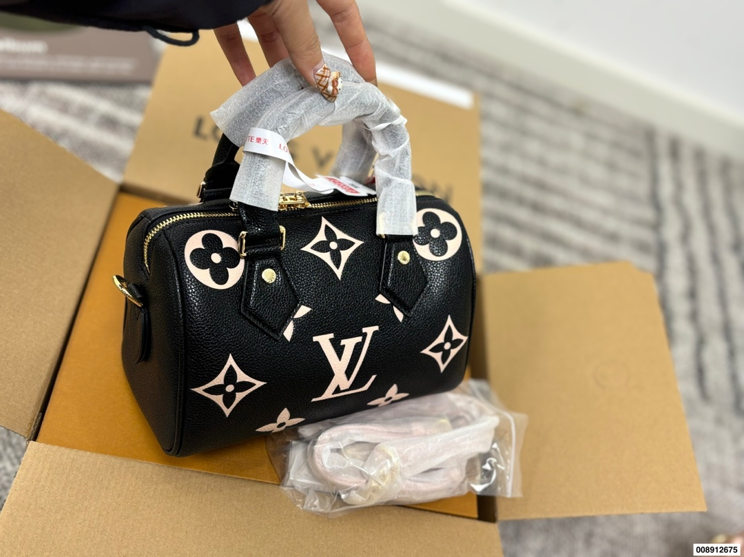 LV Speedy nano embossed pillow bag