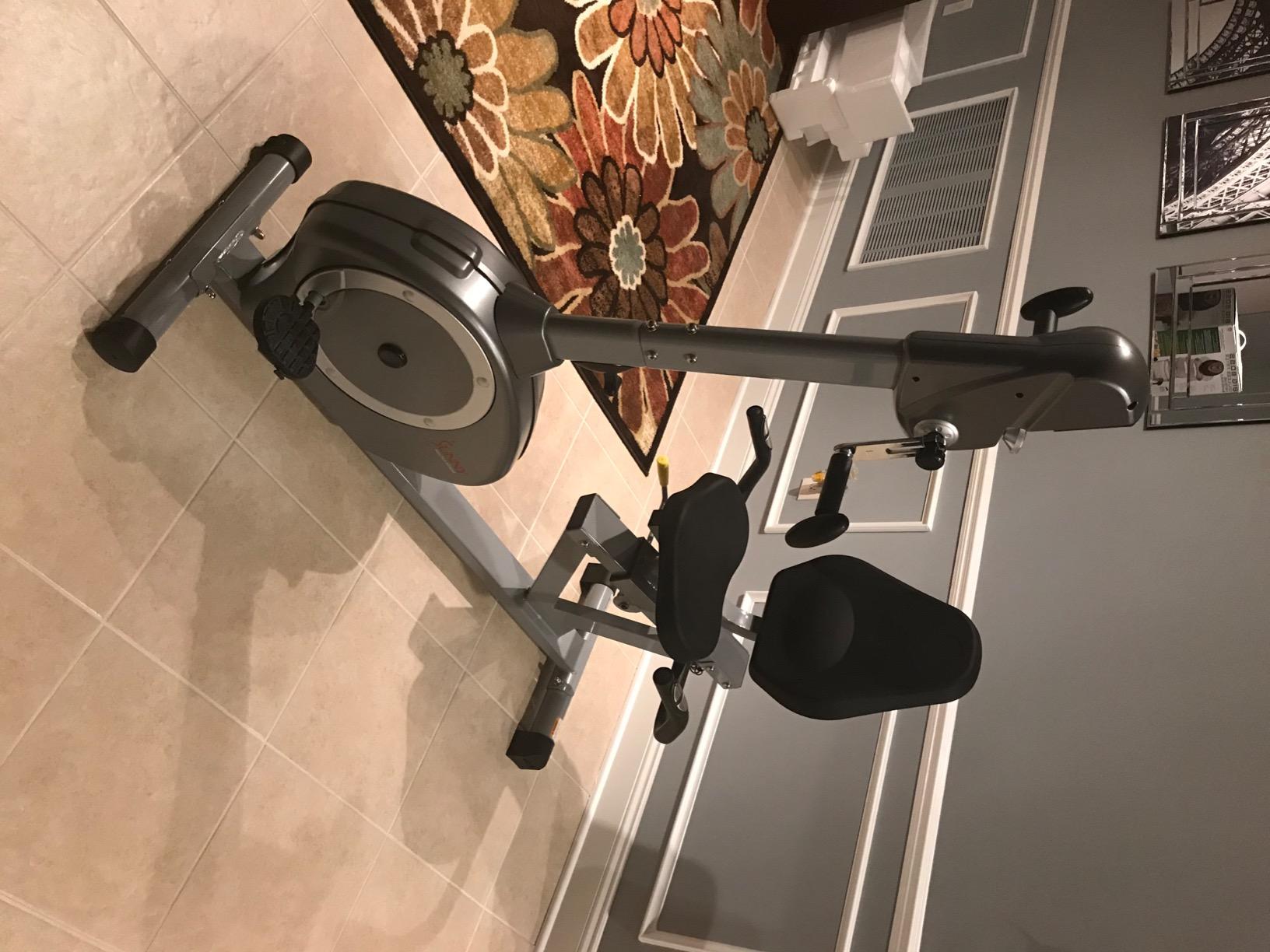 Sunny Health & Fitness Recumbent Bike SF-RB4631 with Arm