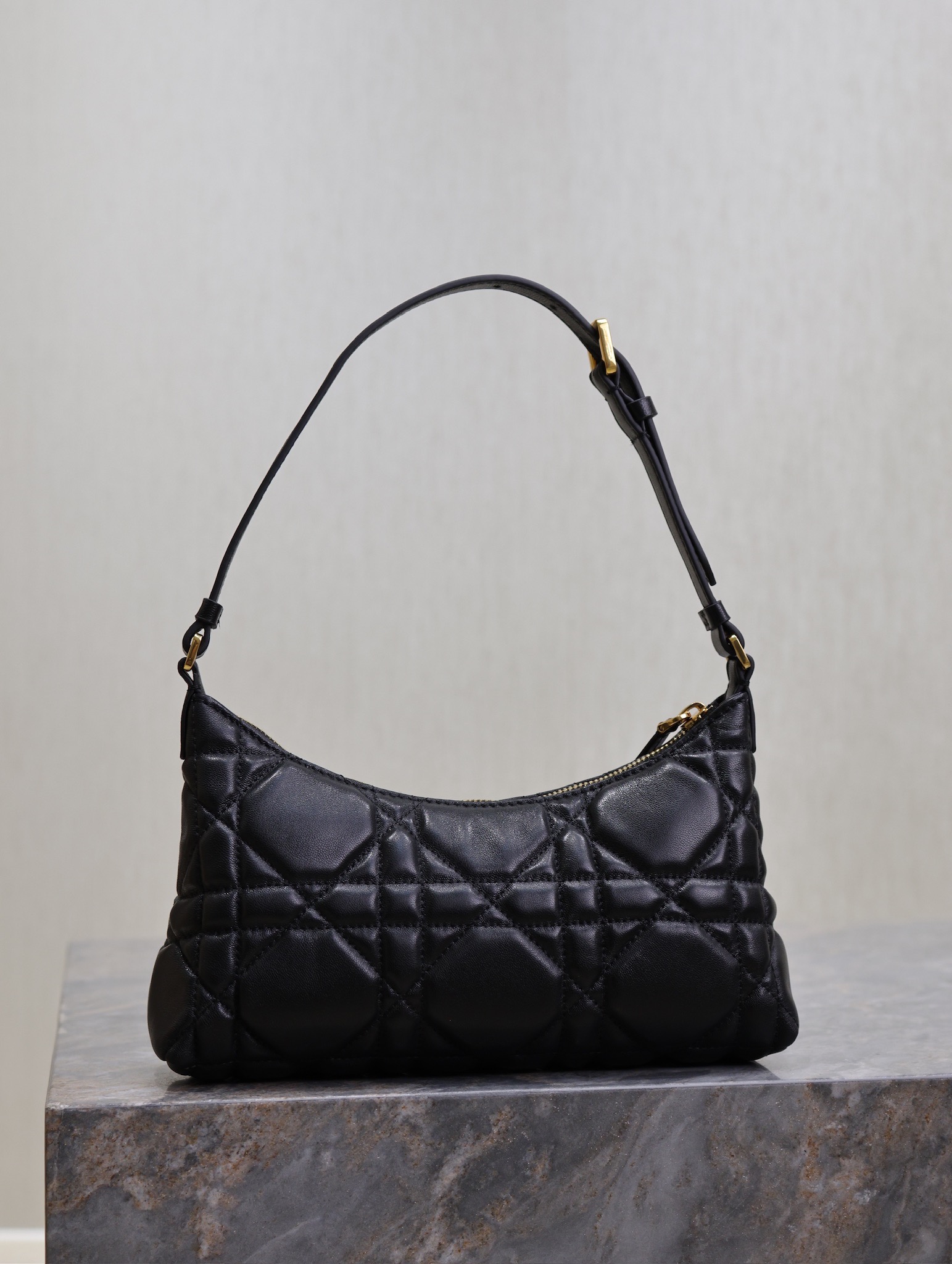 Dior Caro Hobo Bag