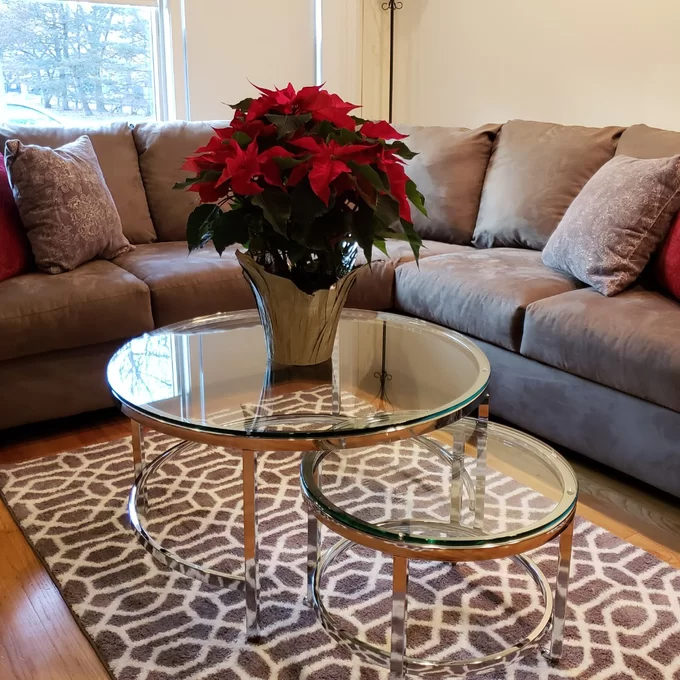 Cambrie 2 Nesting Tables