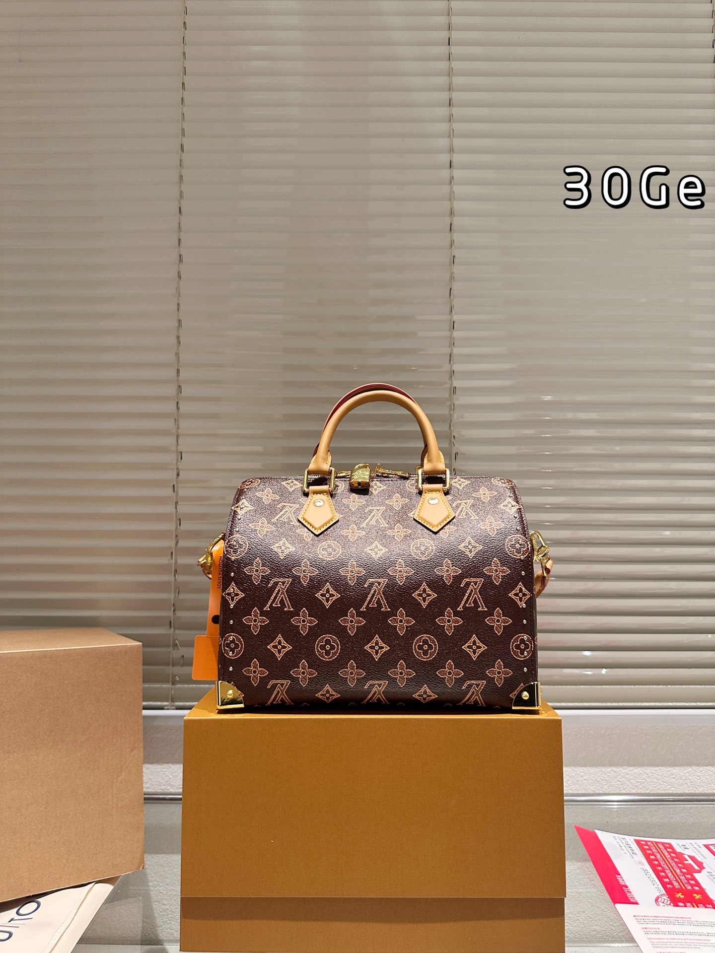 LV Speedy Soft Pillow Bag