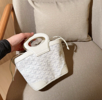 Goyard mini handbag