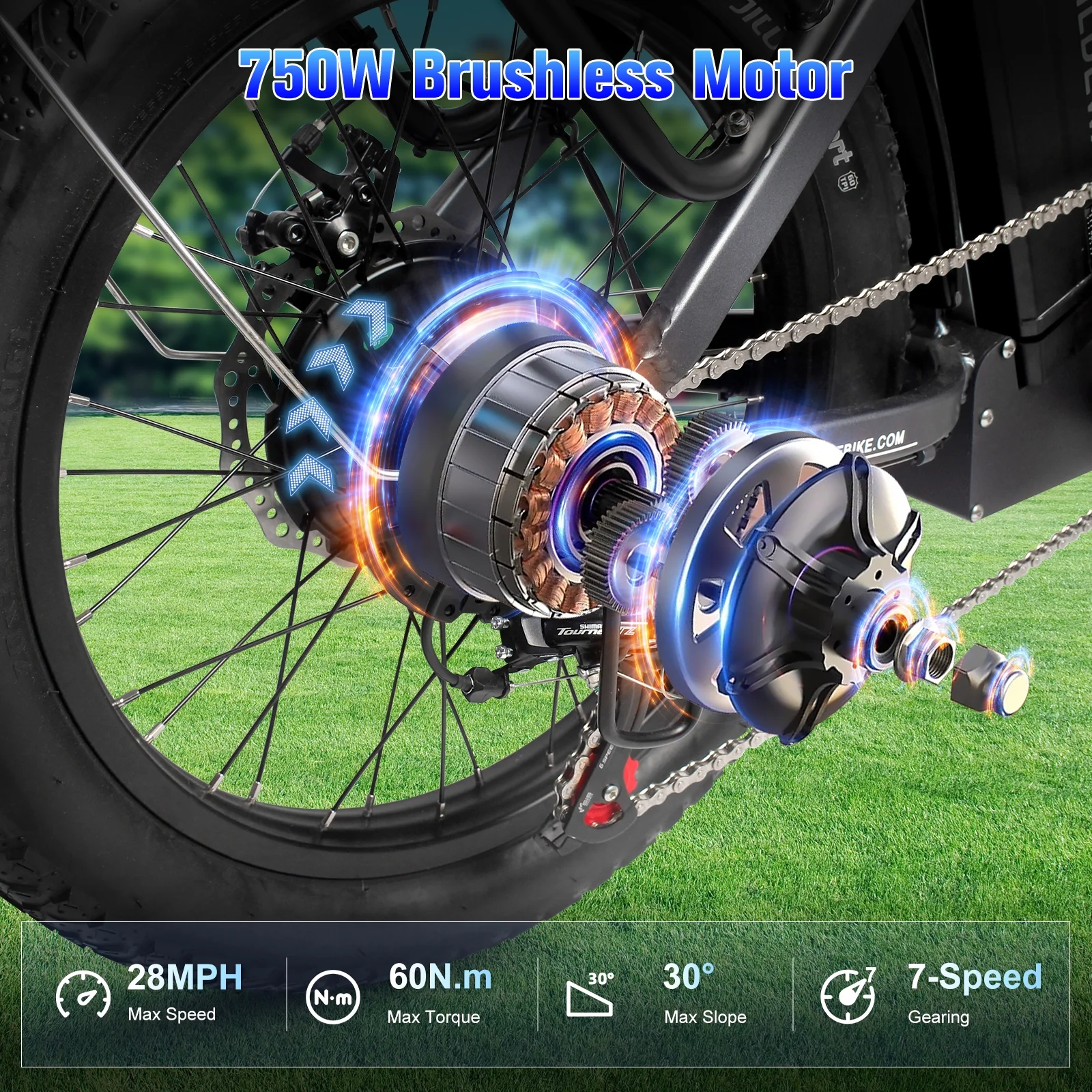 Wildeway 20in Folding Electric Bike, 750W, 48V 32Ah, Hydraulic Brakes