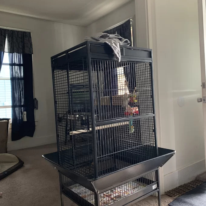 Bremer Steel Play Top Floor Bird Cage with Wheels