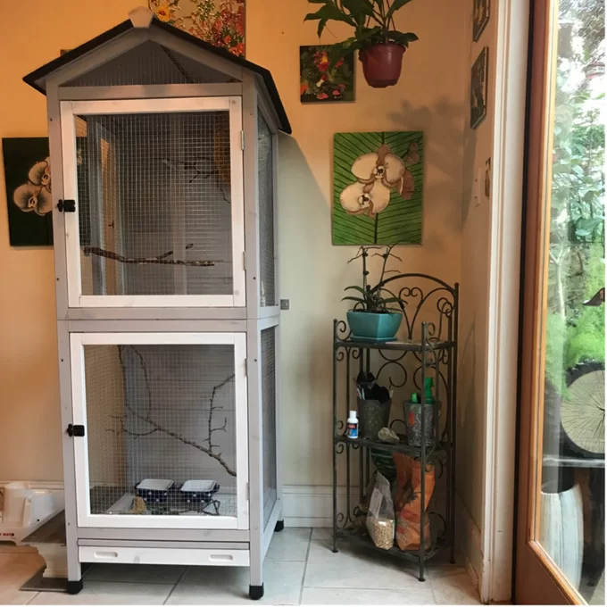Freddy 70'' Pointed Top Flight Cage with Stand