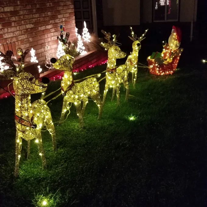 Santa with 2 Deer Sleigh Christmas Decoration Lighted Display