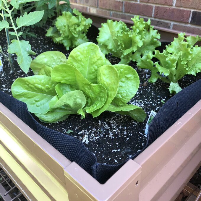 Makenna Steel Elevated Planter