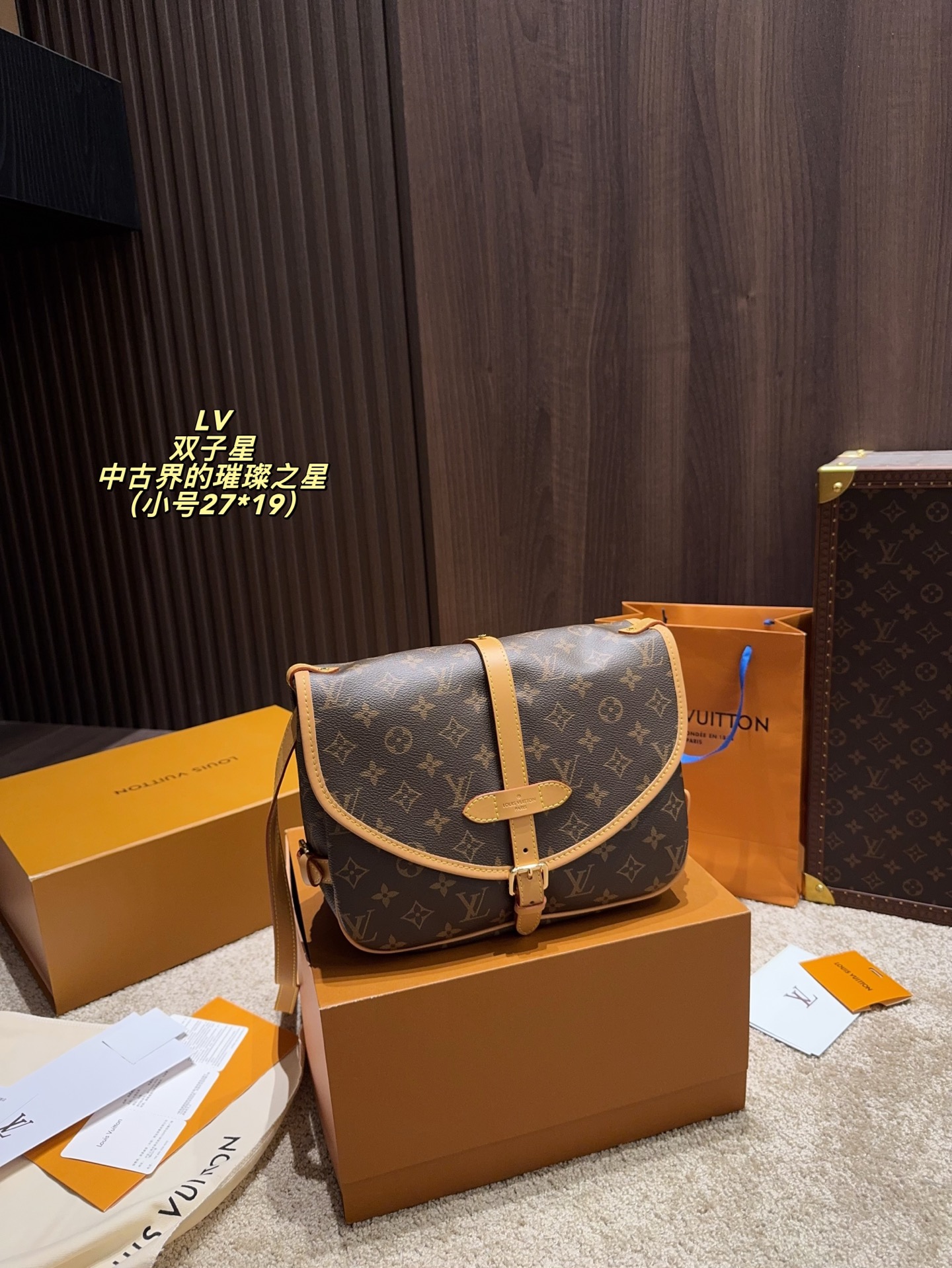 LV Gemini Vintage Bag shoulder crossbody bag