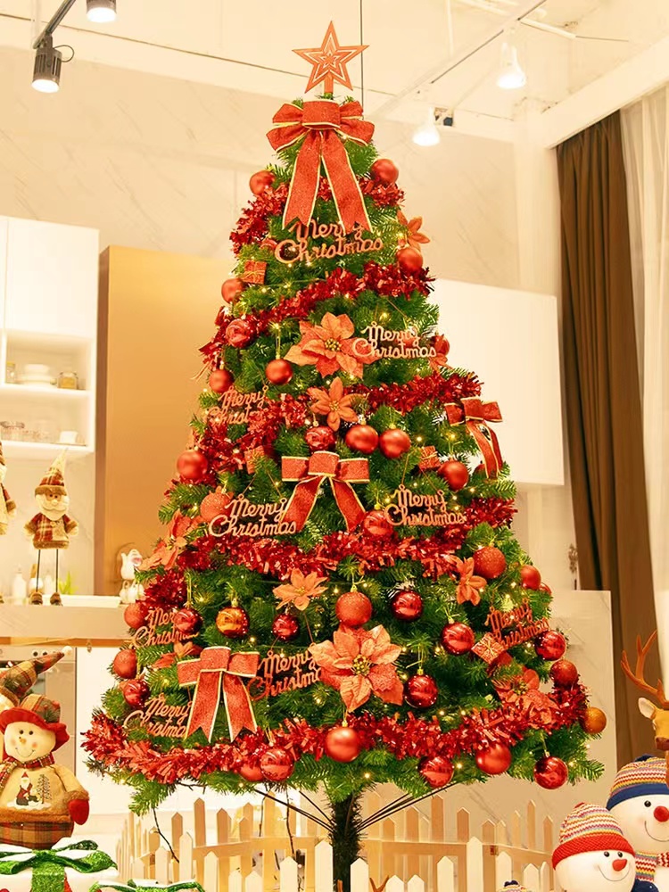 Christmas Tree package large household luminous decorations