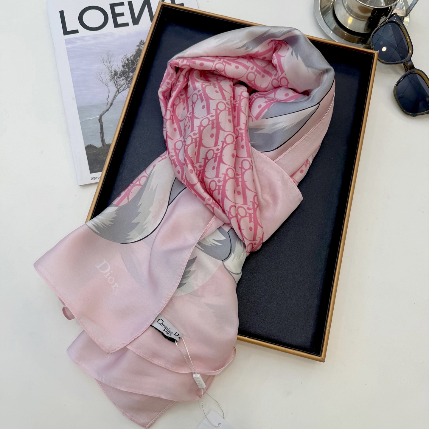 Dior Scarf Style 040 SKU images