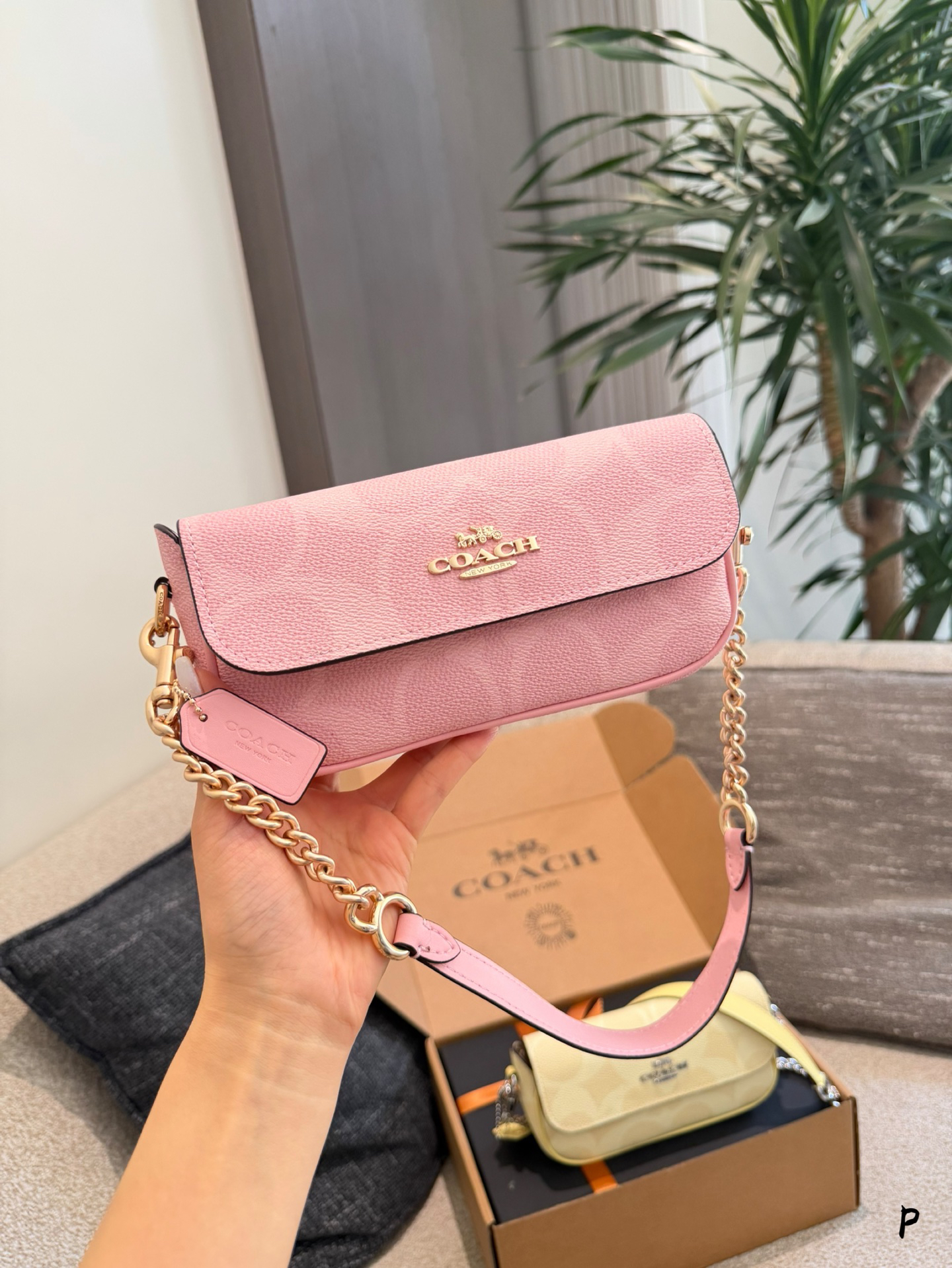Coach Hailey Flap Bag