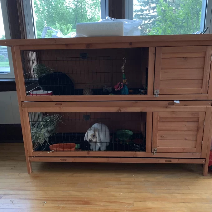 Griffen Weather Resistant Hutch