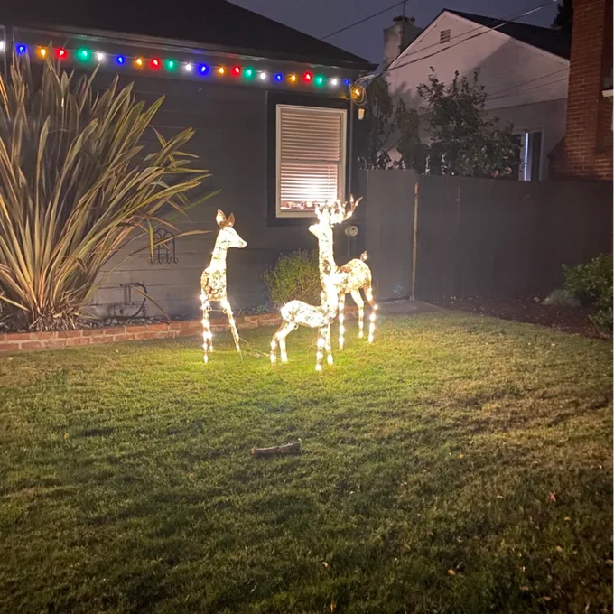 3 Piece Christmas Deer Light Display Set