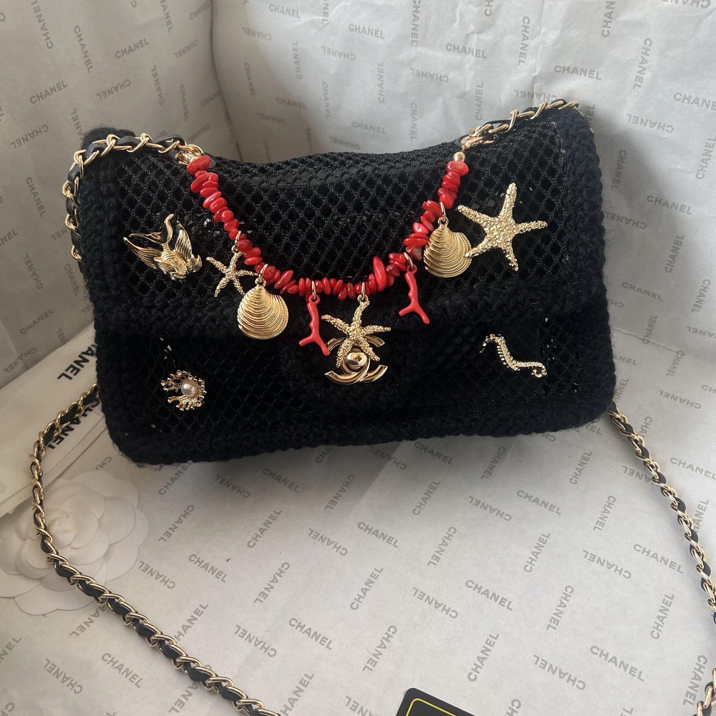 Chanel Coco Beach 2026 Black Mesh Small Flap Bag