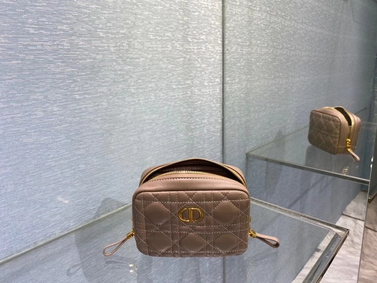 Dior Caro Clutch Bag