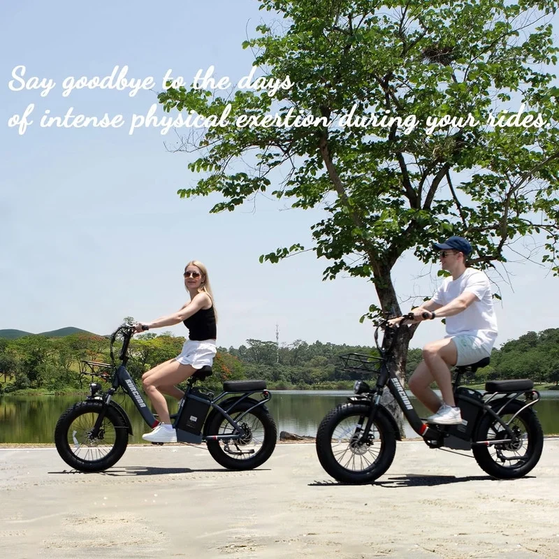 20in Fat Tire Electric Bike, 800W, 48V 32Ah, Two Seats