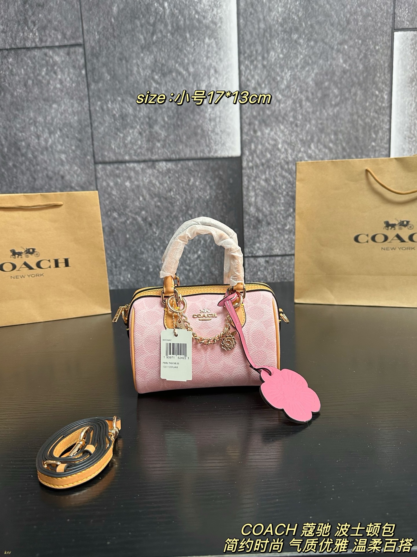 COACH ROWAN Boston Cherry Blossom Bag