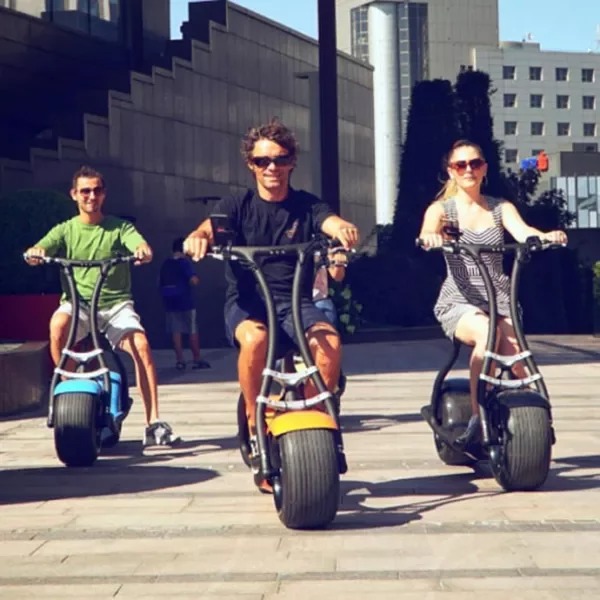 Adult electric scooter