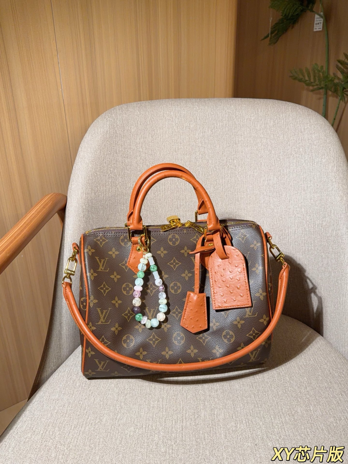 Louis Vuitton Speedy 30