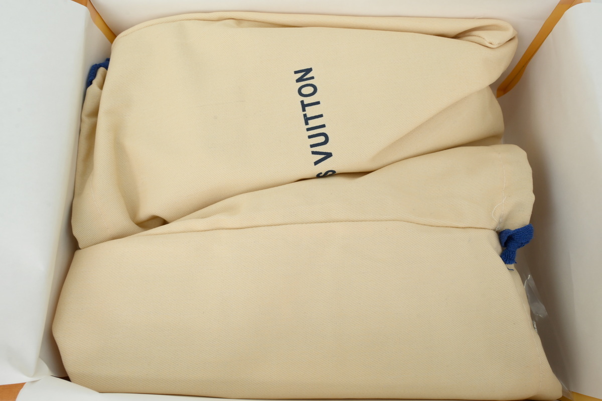 Louis Vuitton LV Skate Sneaker White Coffee