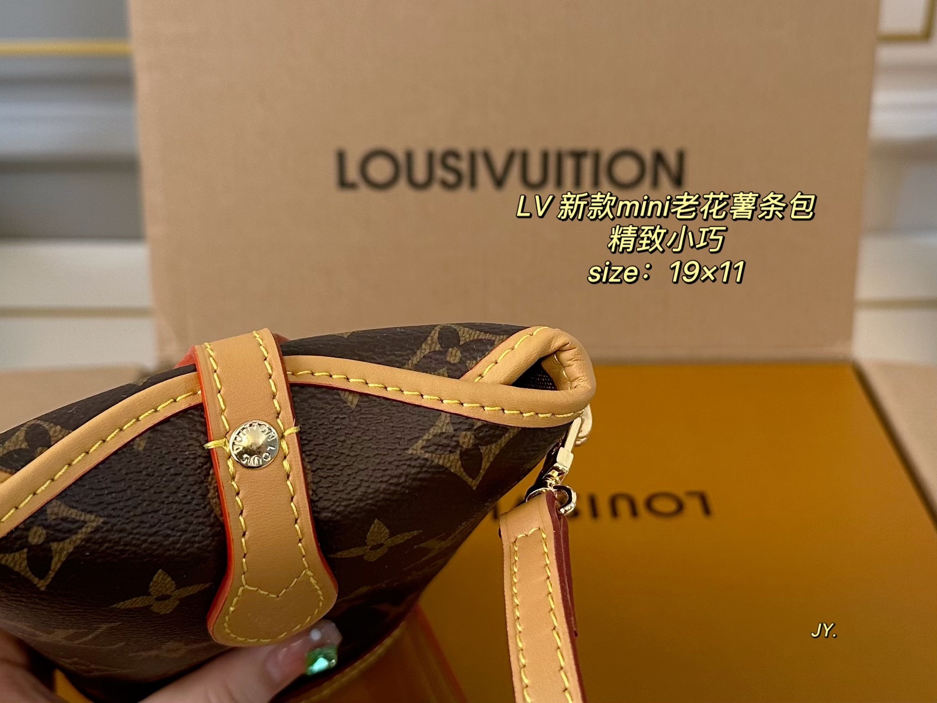 LV mini shoulder bag