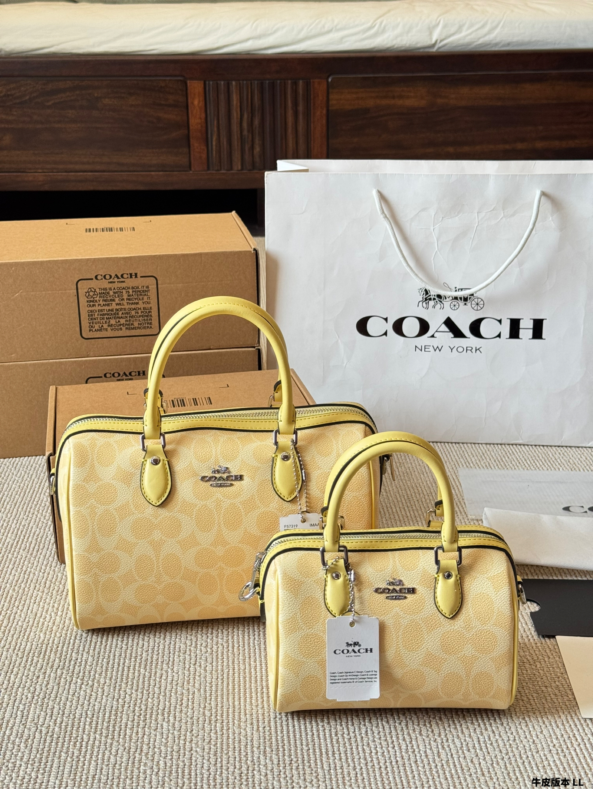 Coach miniRowan pillow bag