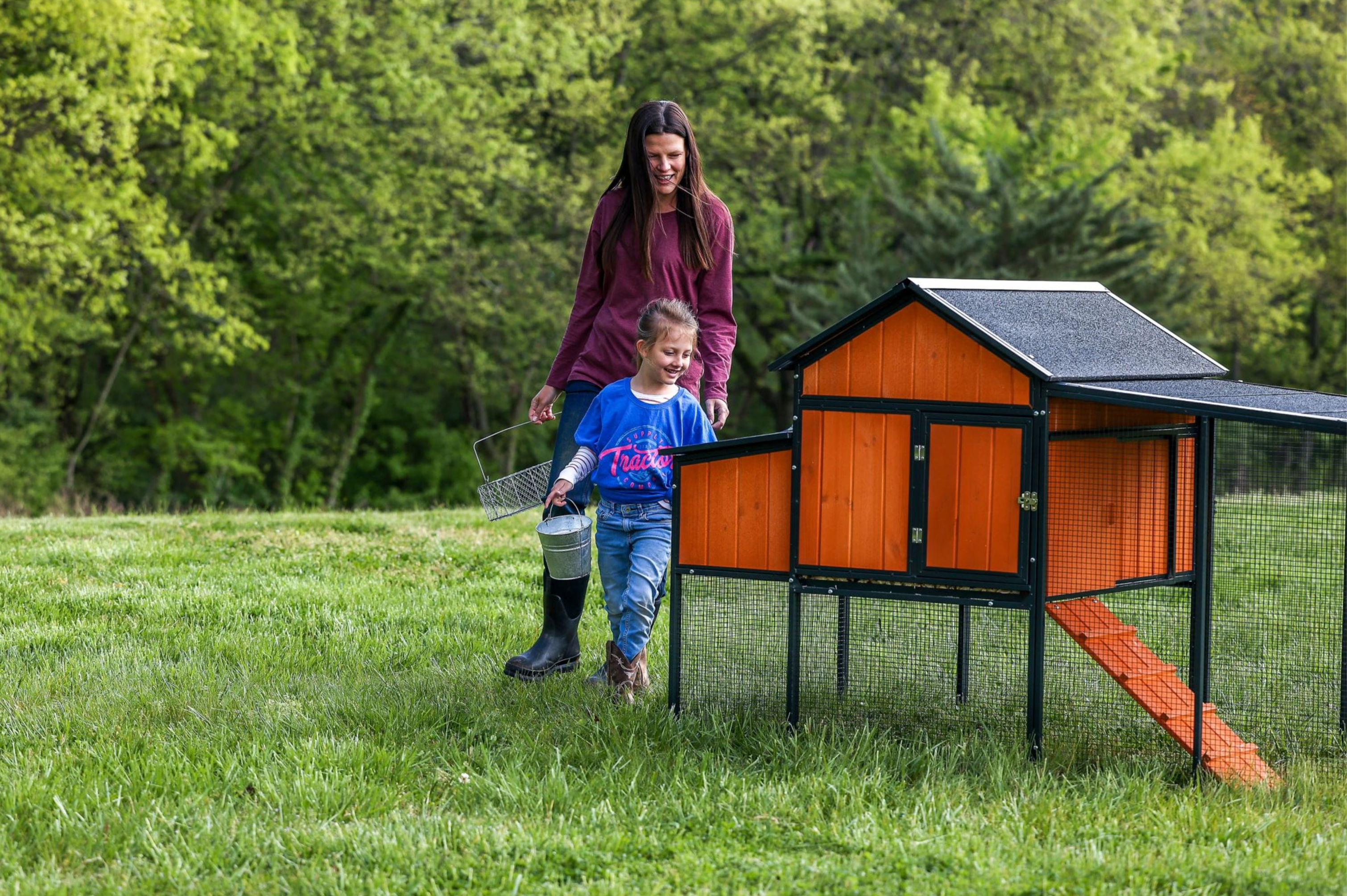 Walk-in windproof chicken coop