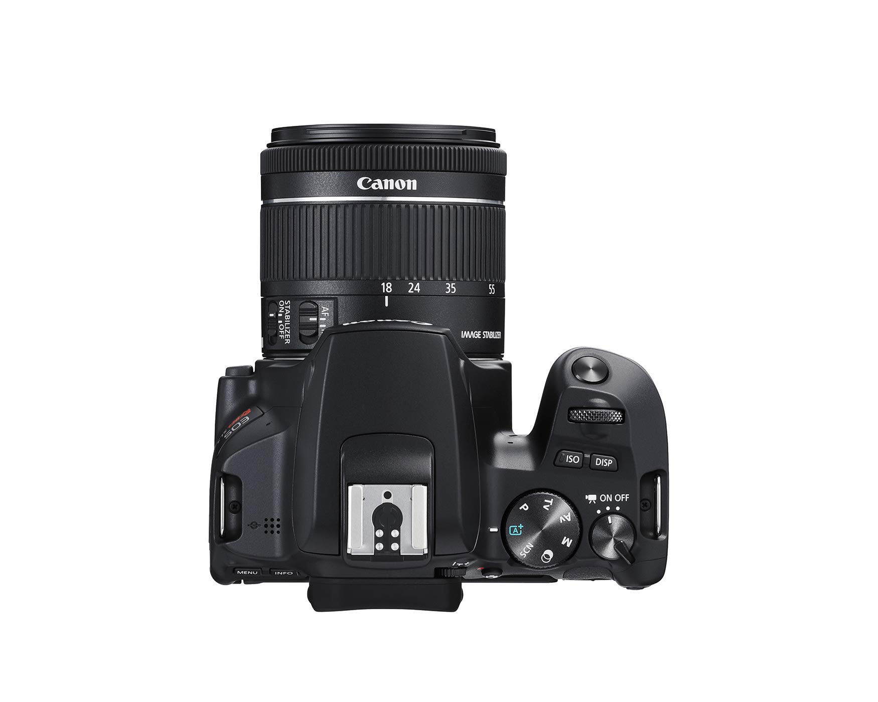 Canon EOS REBEL SL3 Digital SLR Camera with EF-S 18-55mm Lens kit
