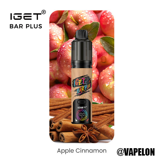 IGET BAR V4 15000 Puffs - Apple Cinnamon