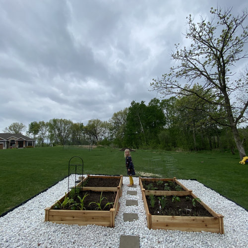 12x4 ft Cedar Raised Garden