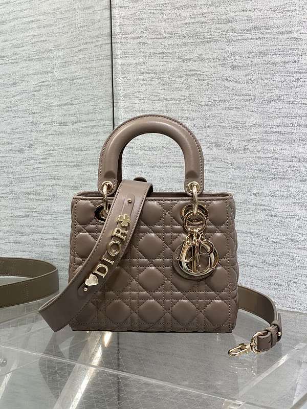 Lady Dior Small Bag Taupe