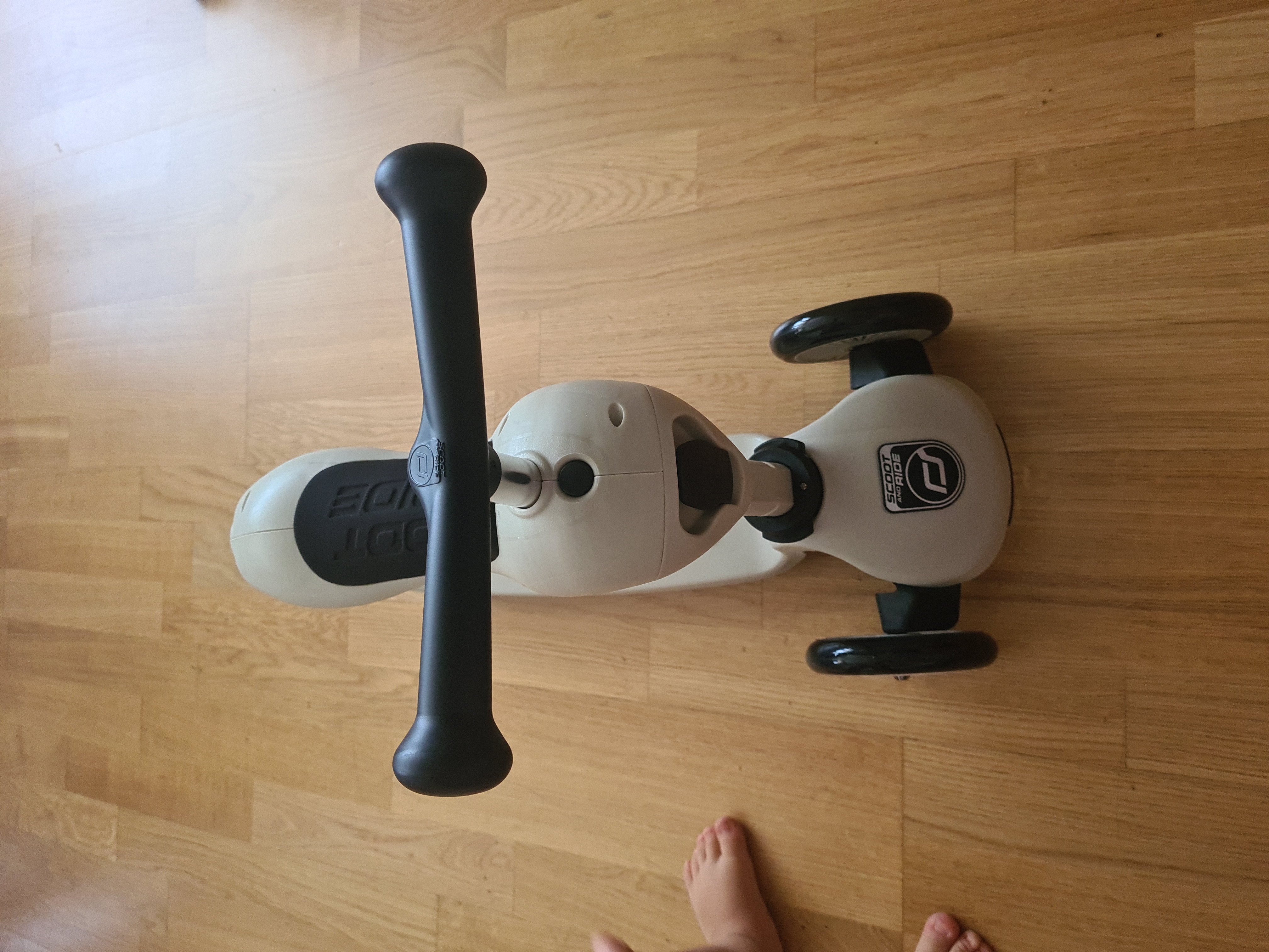 Children Adjustable Seated or Standing 2-in-1 Scooter Including