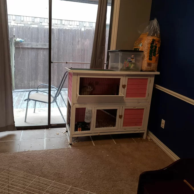 Handler Weather Resistant Small Animal Hutch with Ramp
