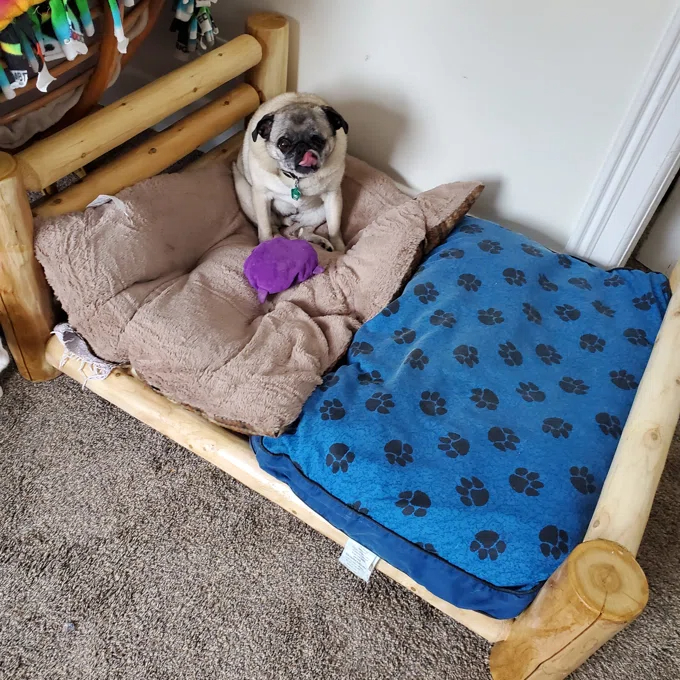 Caesar Dog Bed