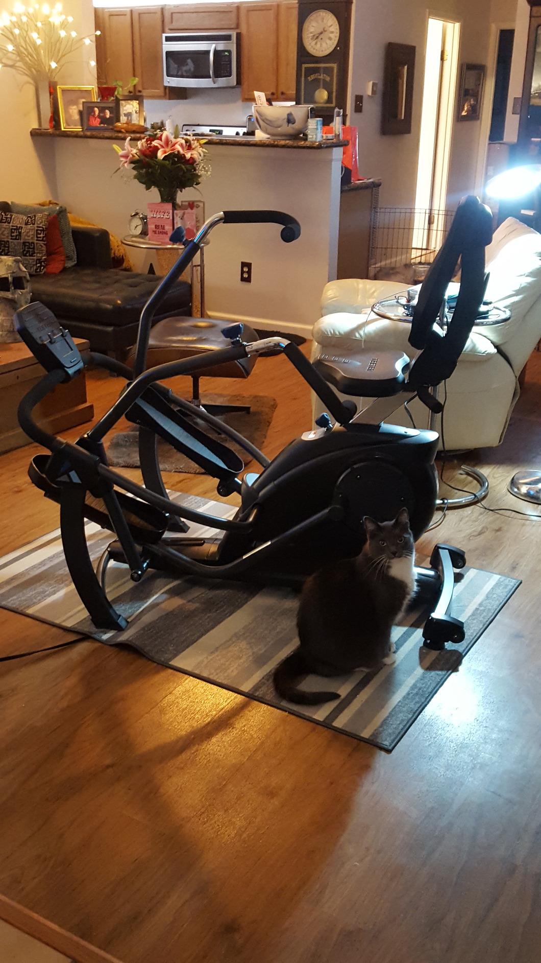 Teeter FreeStep Recumbent Cross Trainer and Elliptical