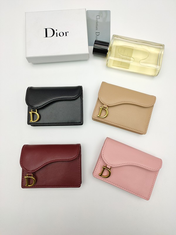 Dior Saddle Coin Purse Color Collection