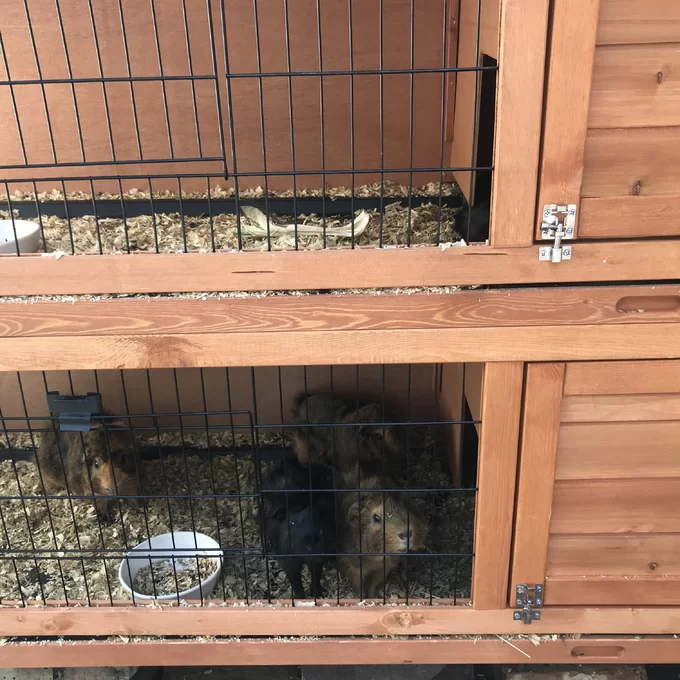 Griffen Weather Resistant Hutch