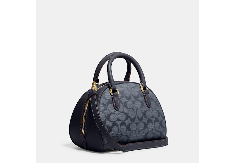 COAthtCH Classic handbags